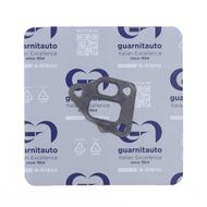 EGR Valve Gasket