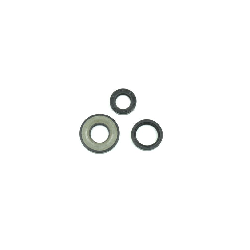 Engine Oil Seal Kit