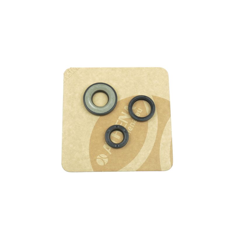 Engine Oil Seal Kit