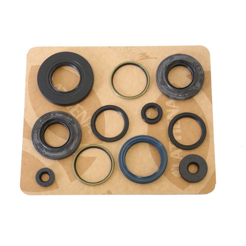 Engine Oil Seals Kit
