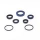 Engine Oil Seals Kit