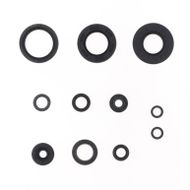 Engine Oil Seals Kit