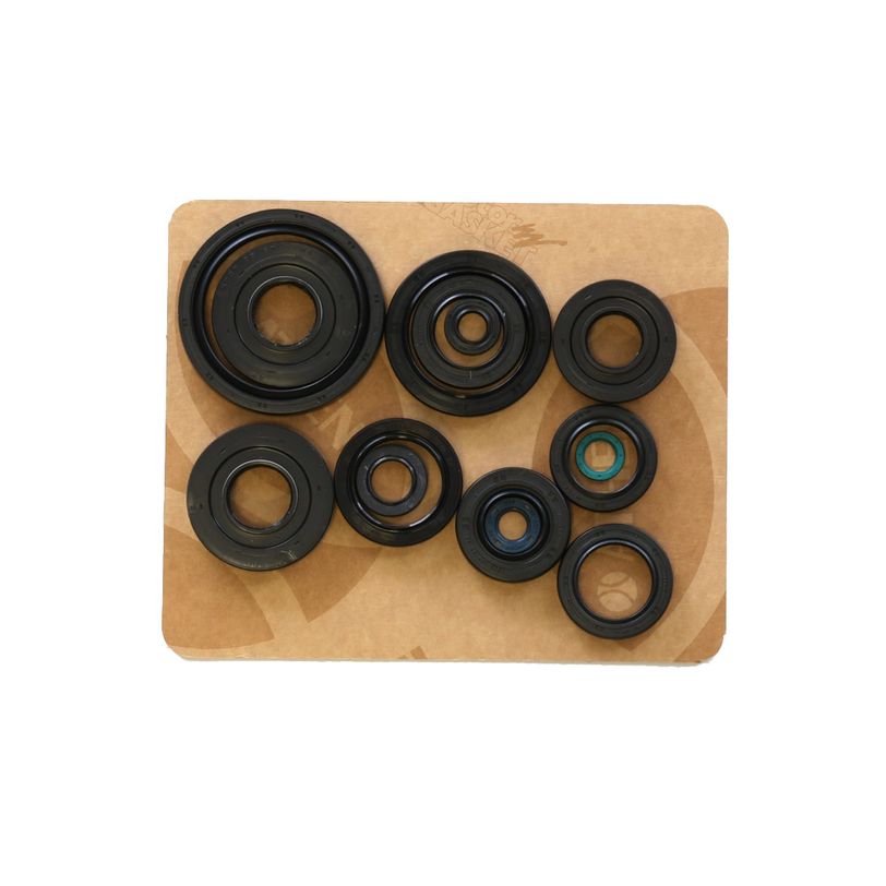 Engine Oil Seals Kit