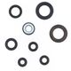 Engine Oil Seals Kit