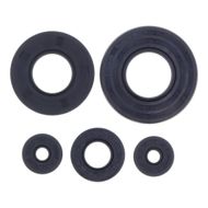 Engine Oil Seals Kit
