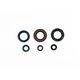 Engine Oil Seals Kit