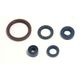 Engine Oil Seals Kit