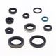 Engine Oil Seals Kit