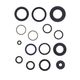 Engine Oil Seals Kit