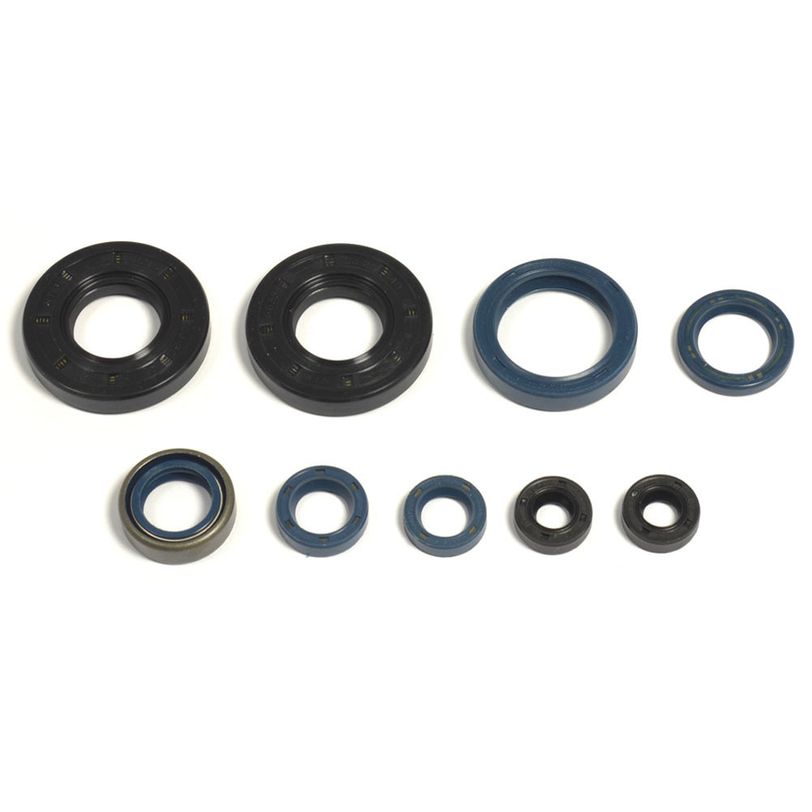 Engine Oil Seals Kit