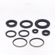 Engine Oil Seals Kit