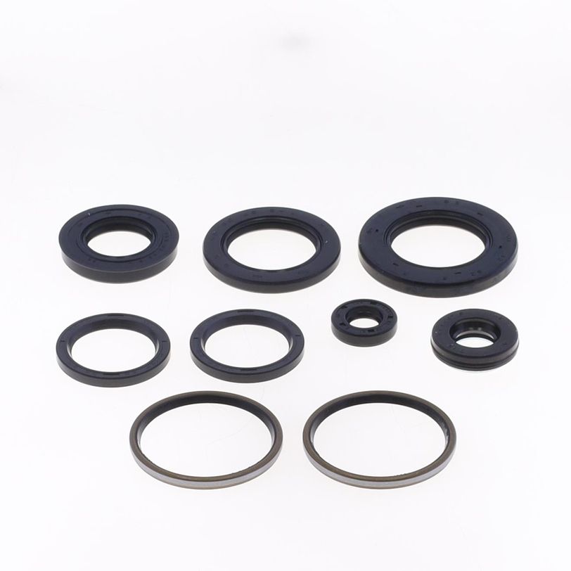 Engine Oil Seals Kit