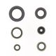 Engine Oil Seals Kit