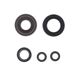 Engine Oil Seals Kit