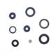 Engine Oil Seals Kit