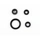 Engine Oil Seals Kit
