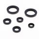Engine Oil Seals Kit