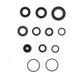 Engine Oil Seals Kit