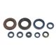 Engine Oil Seals Kit