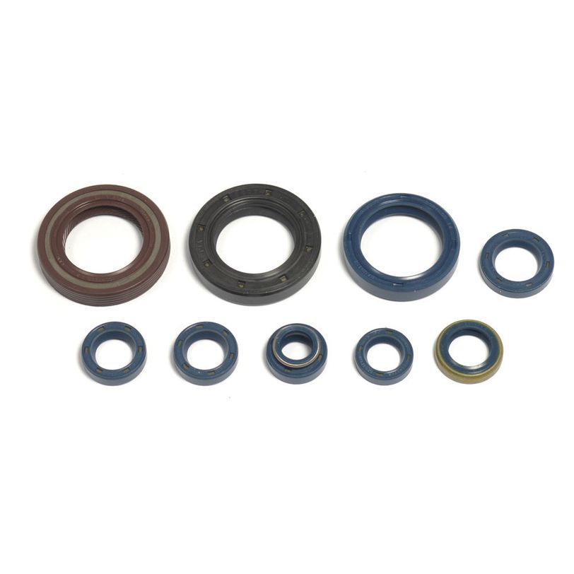 Engine Oil Seals Kit