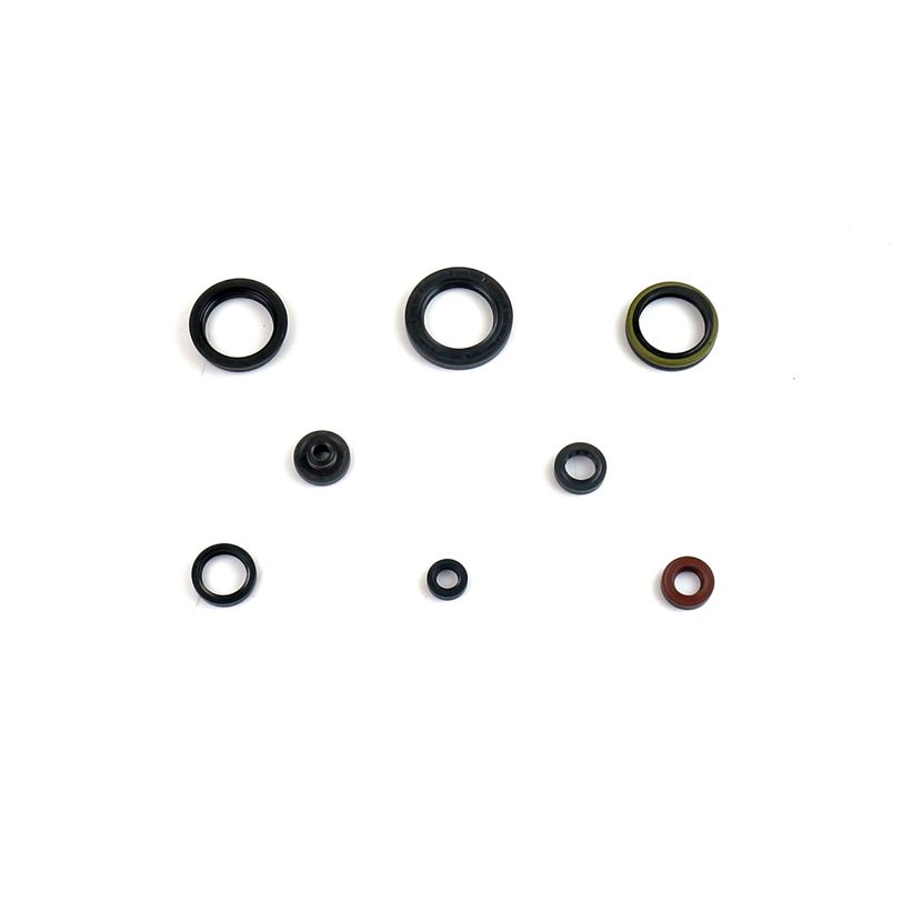 Engine Oil Seals Kit