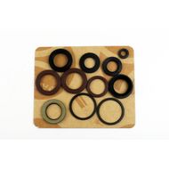 Engine Oil Seals Kit