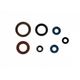 Engine Oil Seals Kit