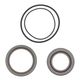 Engine Oil Seals Kit