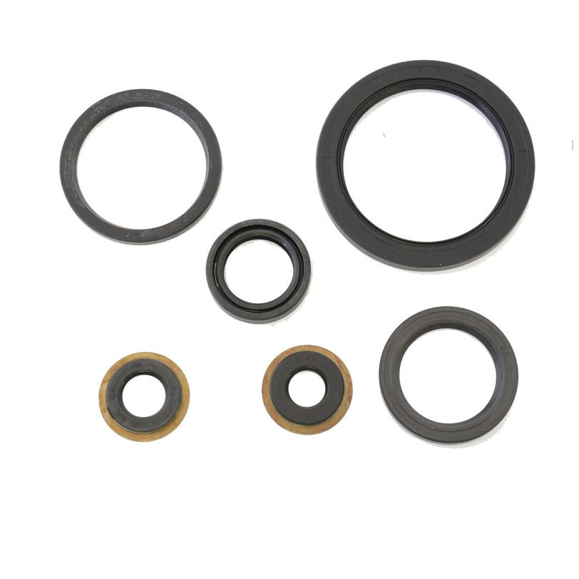 Engine Oil Seals Kit