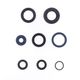 Engine Oil Seals Kit