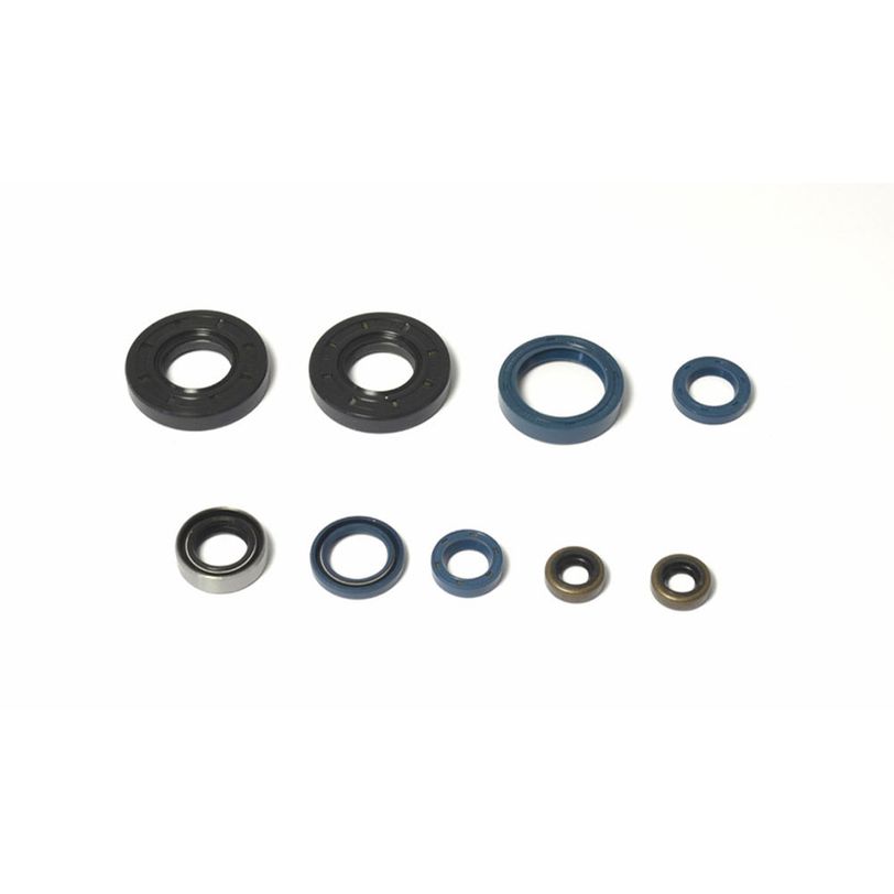 Engine Oil Seals Kit
