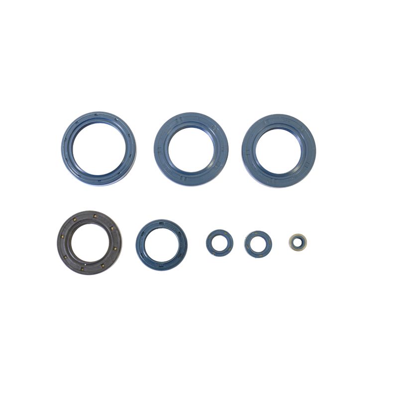 Engine Oil Seals Kit