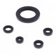 Engine Oil Seals Kit