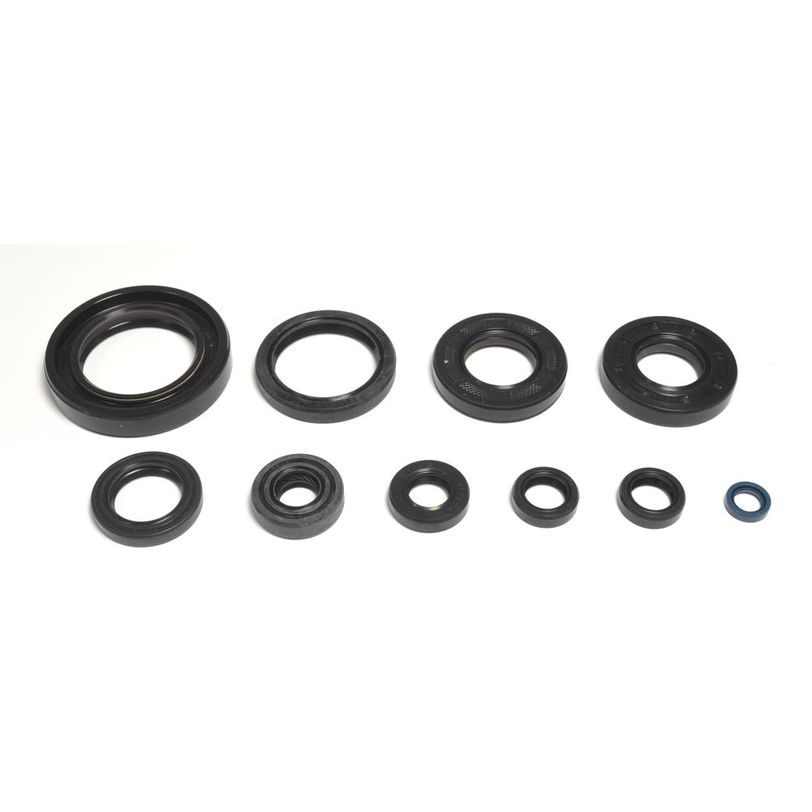 Engine Oil Seals Kit
