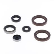 Engine Oil Seals Kit