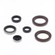 Engine Oil Seals Kit