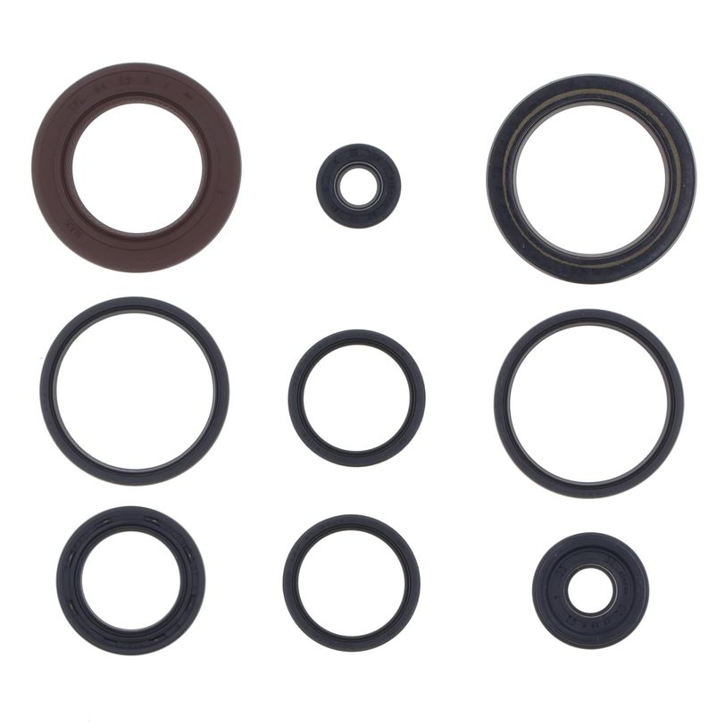 Engine Oil Seals Kit