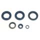 Engine Oil Seals Kit