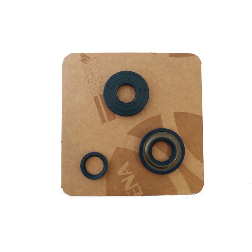 Engine Oil Seals Kit