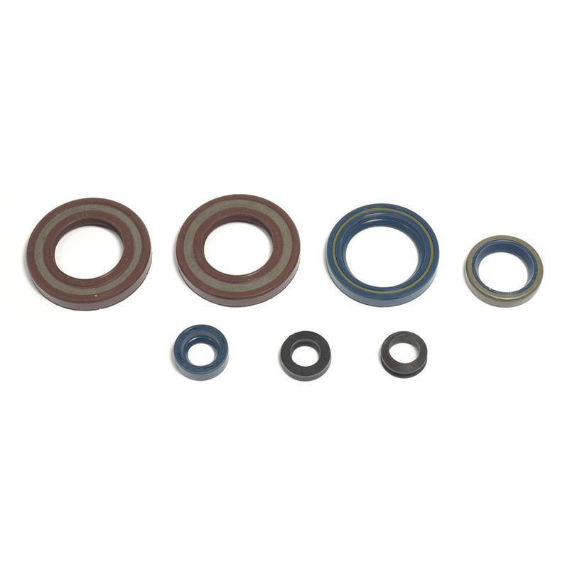 Engine Oil Seals Kit