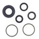 Engine Oil Seals Kit
