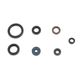 Engine Oil Seals Kit