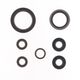 Engine Oil Seals Kit