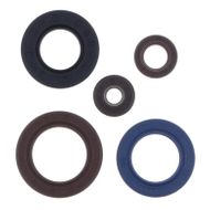 Engine Oil Seals Kit