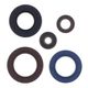 Engine Oil Seals Kit