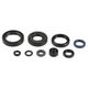 Engine Oil Seals Kit