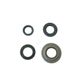 Engine Oil Seals Kit