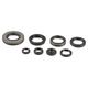 Engine Oil Seals Kit