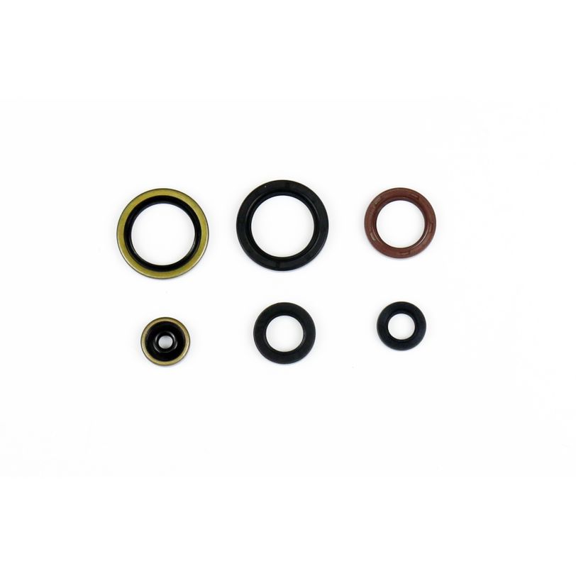 Engine Oil Seals Kit