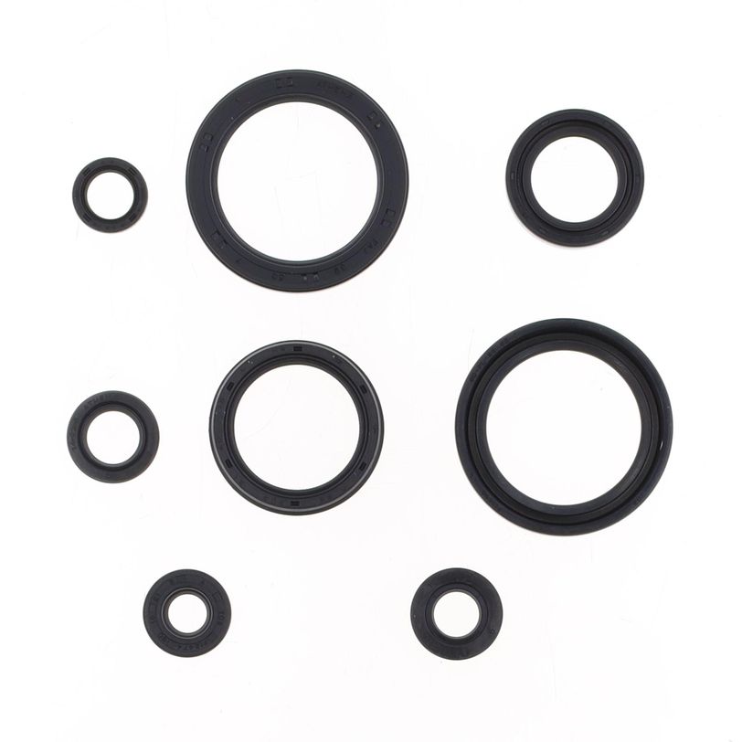 Engine Oil Seals Kit
